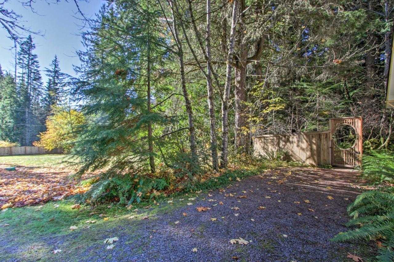 Owls Nest Studio With Hot Tub Hike Nearby! Ashford Dış mekan fotoğraf