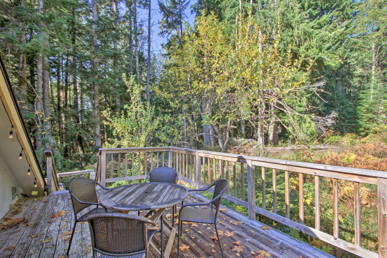 Owls Nest Studio With Hot Tub Hike Nearby! Ashford Dış mekan fotoğraf